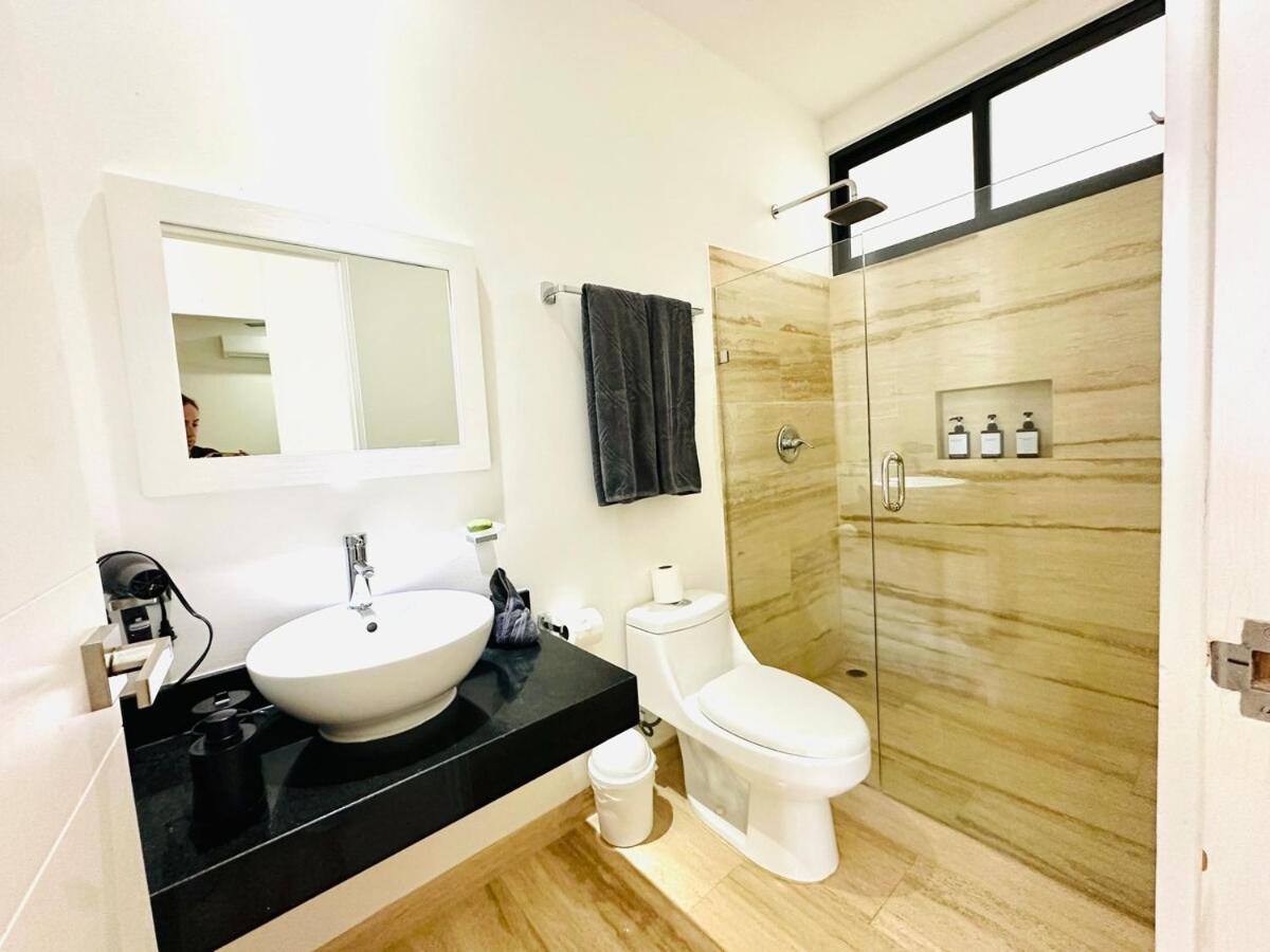 Location Bright Oasis Apartment